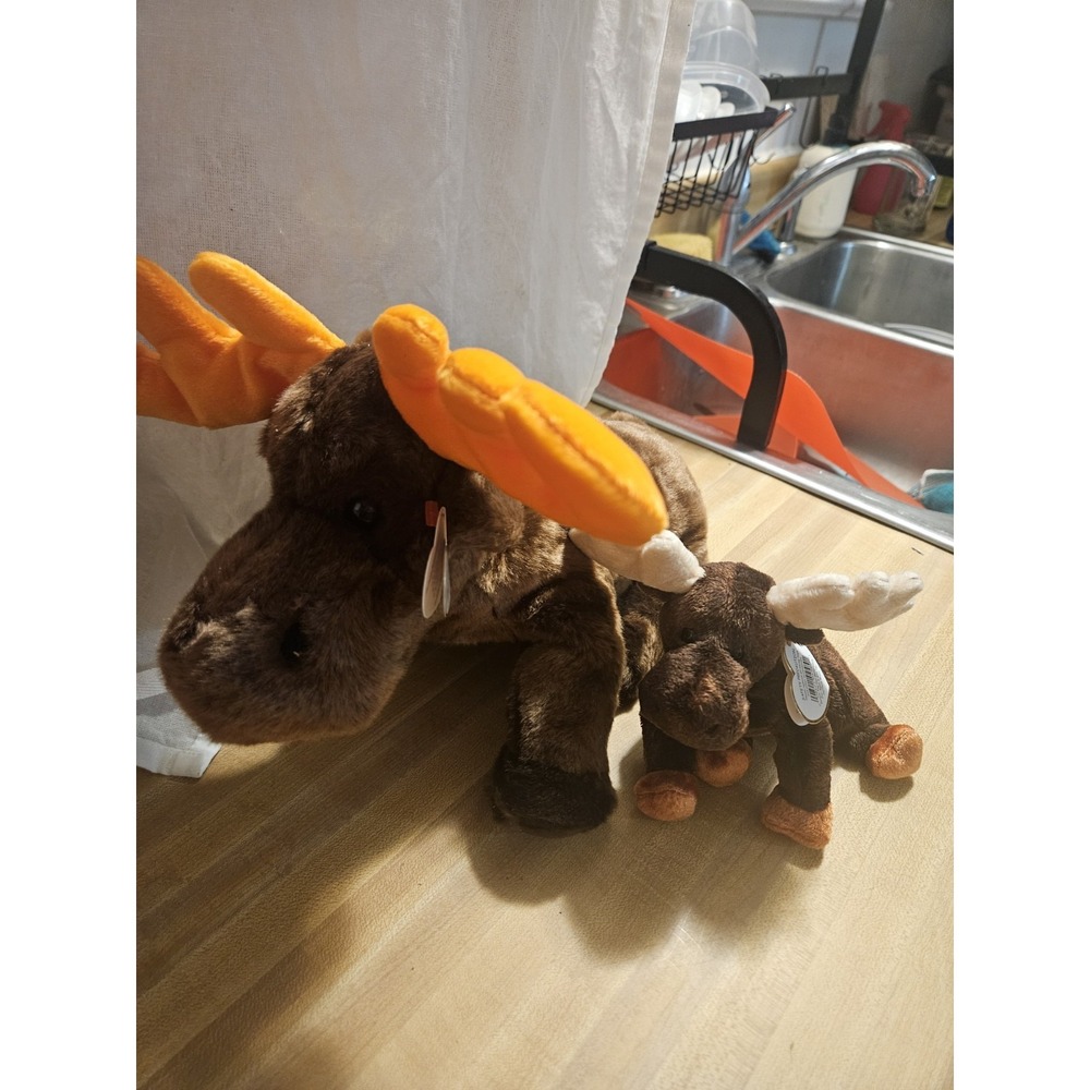 Ty Beanie Buddy Chocolate And Beanie Baby Zeus
